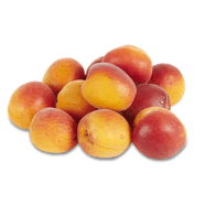 abricot bio barquette 500g