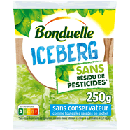  Iceberg sans résidu de pesticides