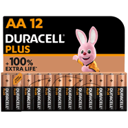  12 piles alcaline LR06 - type AA
