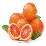  Orange Sanguine