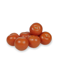  Tomates rondes cat 1