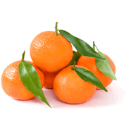  Mandarine feuille