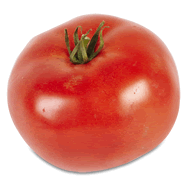  Tomate ronde à farcir