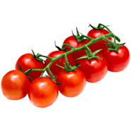  Tomates cerises grappe gustative