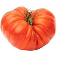  Tomate côtelée rouge