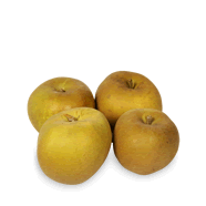  Pomme Canada grise