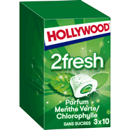  Chewing-gum à la menthe verte et chlorophylle