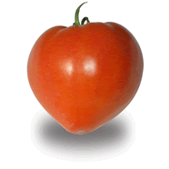  Tomates allongées coeur bio cat 2