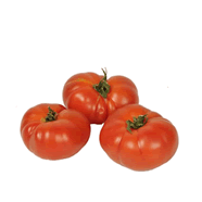 Tomates côtelées Rebellion bio cat 2