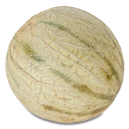  Mini melon Charentais