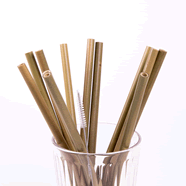  Lot de 12 pailles en bambou réutilisables avec goupillon
