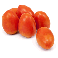  Tomate allongée bio
