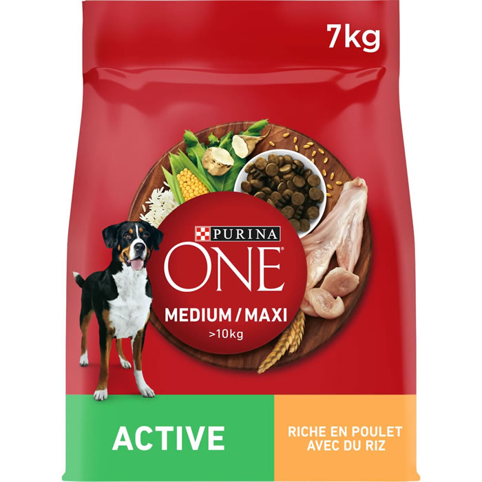 PURINA One Croquettes au poulet pour chien adulte