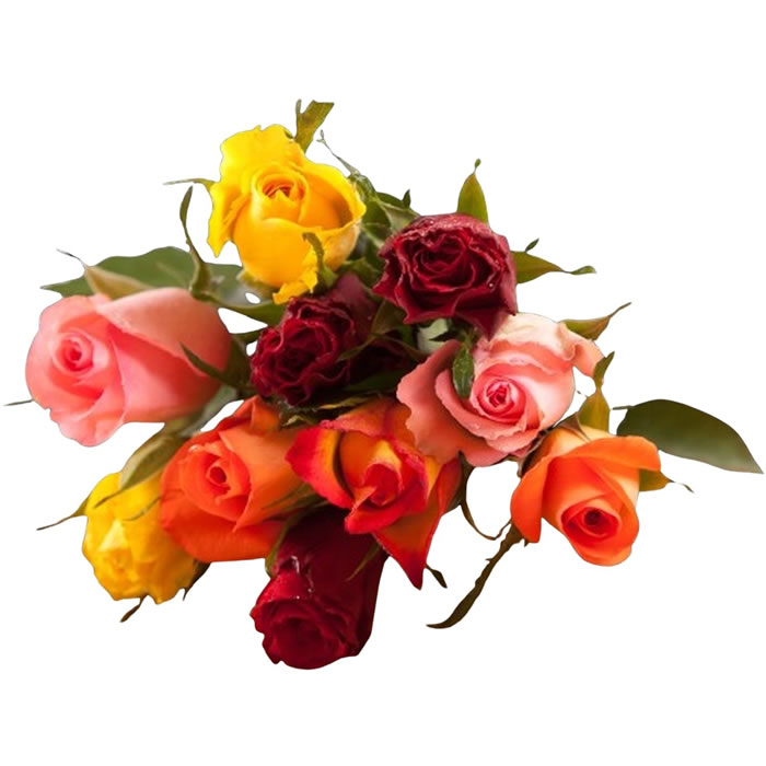 FLEUR Bouquet de roses arlequin