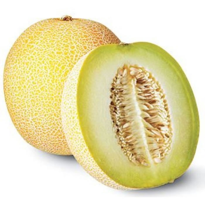 MELON Melon galia