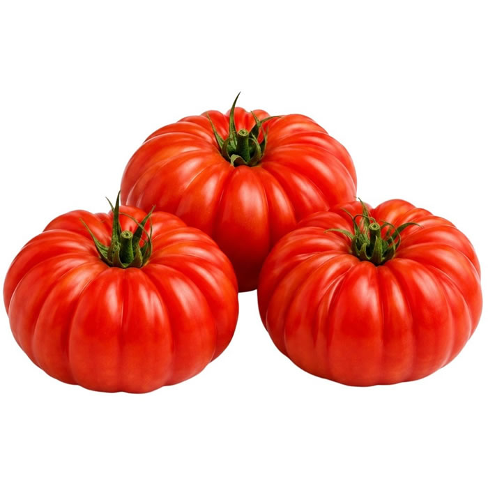  Tomate côtelée bio