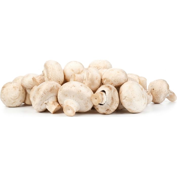 CHAMPIGNONS Champignon blanc
