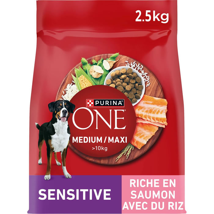 PURINA One Croquettes au saumon pour chien adulte