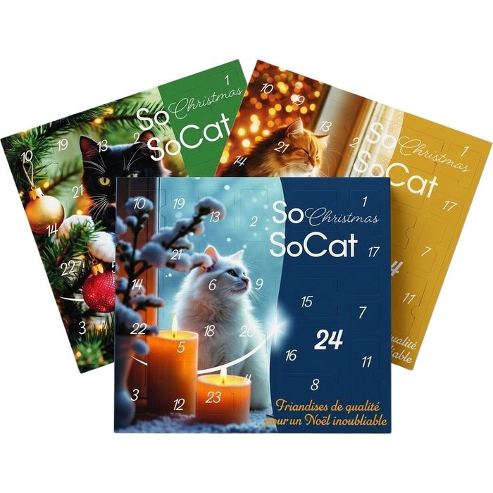 SOCAT Calendrier de l'avent friandises pour chat