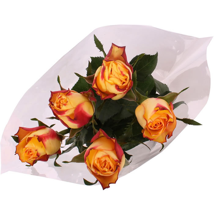 FLEUR Bouquet de 5 roses