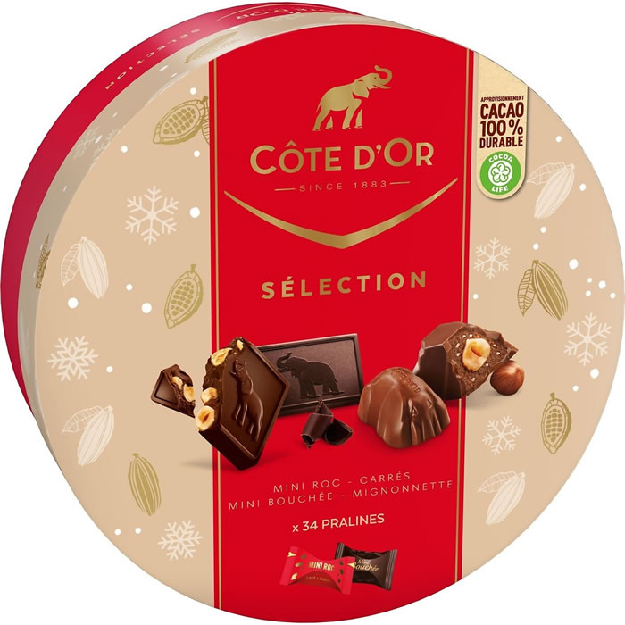 CÔTE D'OR : Sélection - Assortiment de bouchées au chocolat praline -  chronodrive
