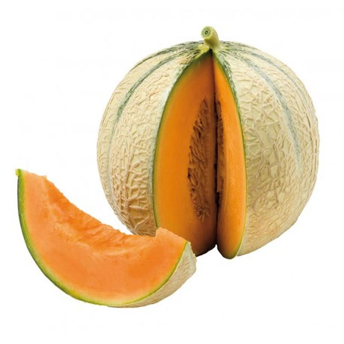 MELON Melon bio