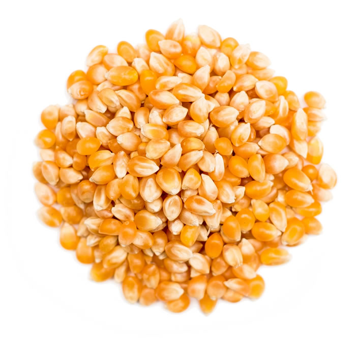 BIOTHENTIC Grains de maïs bio en vrac