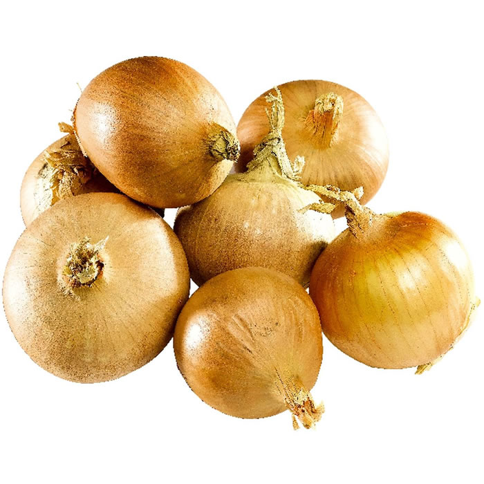  Oignon jaune 4 têtes ZRP