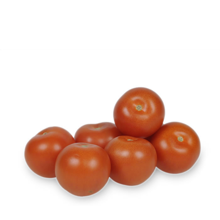 TOMATE Tomates rondes bio cat 2