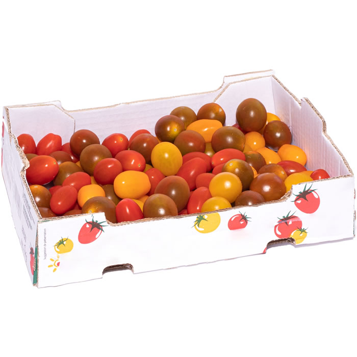 TOMATE Tomates cerises mélangées