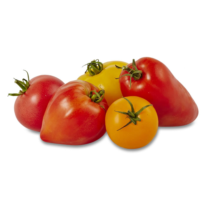 TOMATE Mélange de tomates anciennes