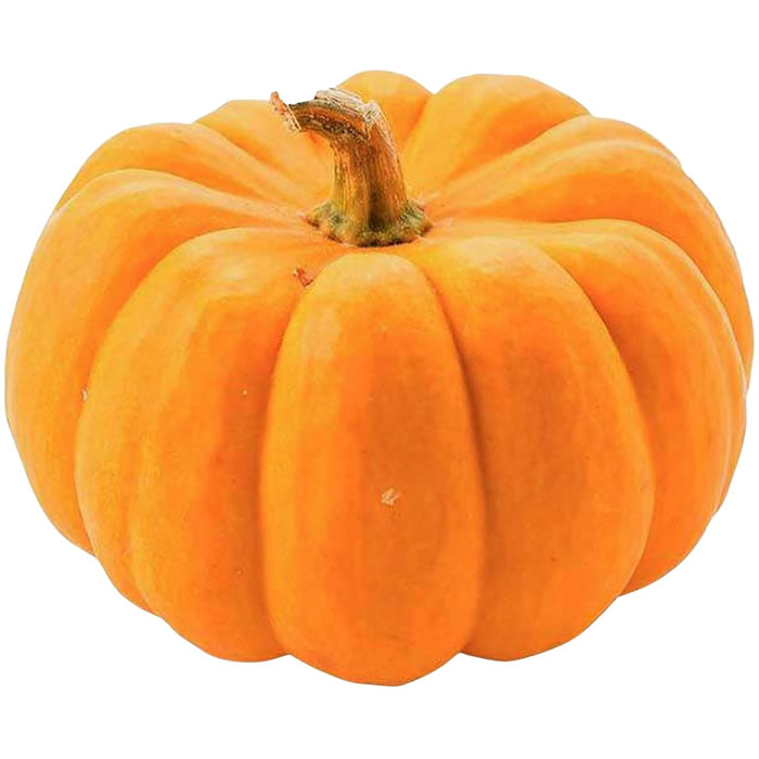  Courge Jack O'Lantern