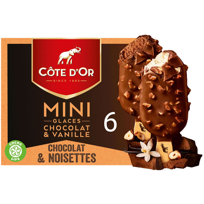 CÔTE D'OR Mini Bâtonnets glacés vanille, enrobage choco et noisettes