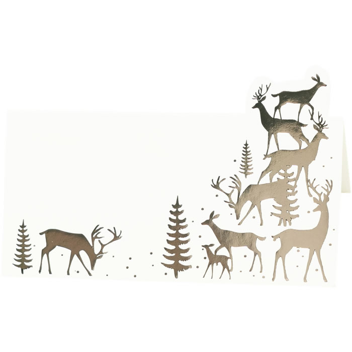 ACTUEL Marque place en papier