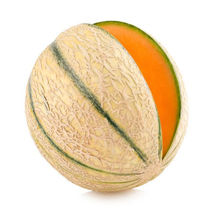 MELON Melon charentais vert