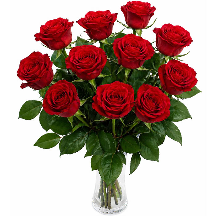 FLEUR Bouquet de 10 roses rouges