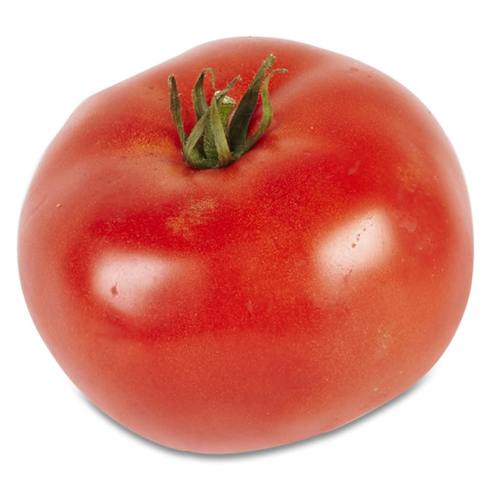 TOMATE Tomate ronde à farcir