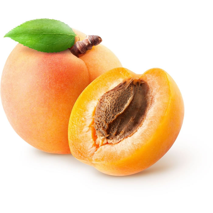 ABRICOT Abricot cat 1
