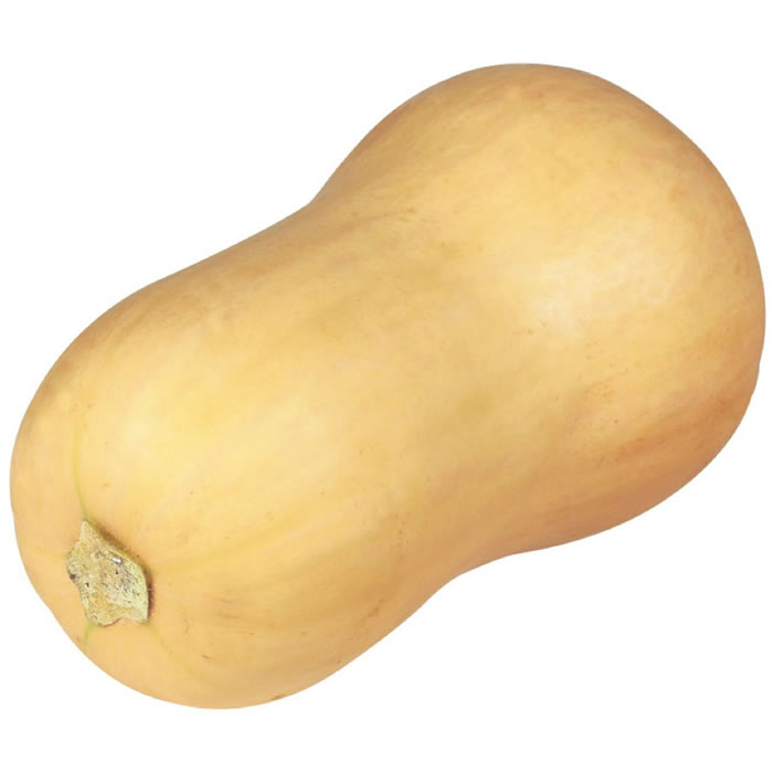 COURGES Butternut