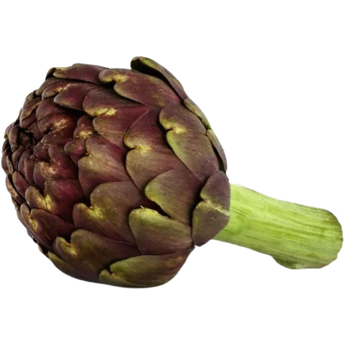 Artichaut Violet Pièce