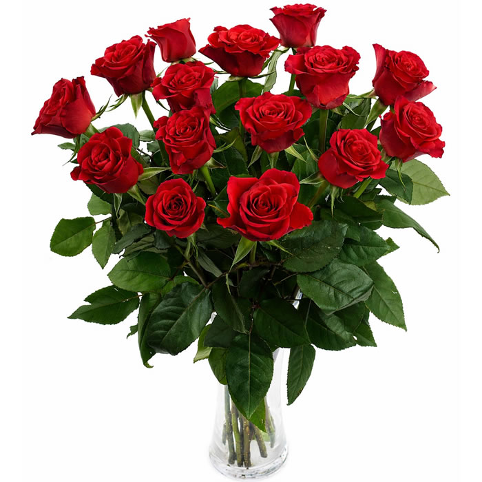 FLEUR Bouquet de 18 roses rouge