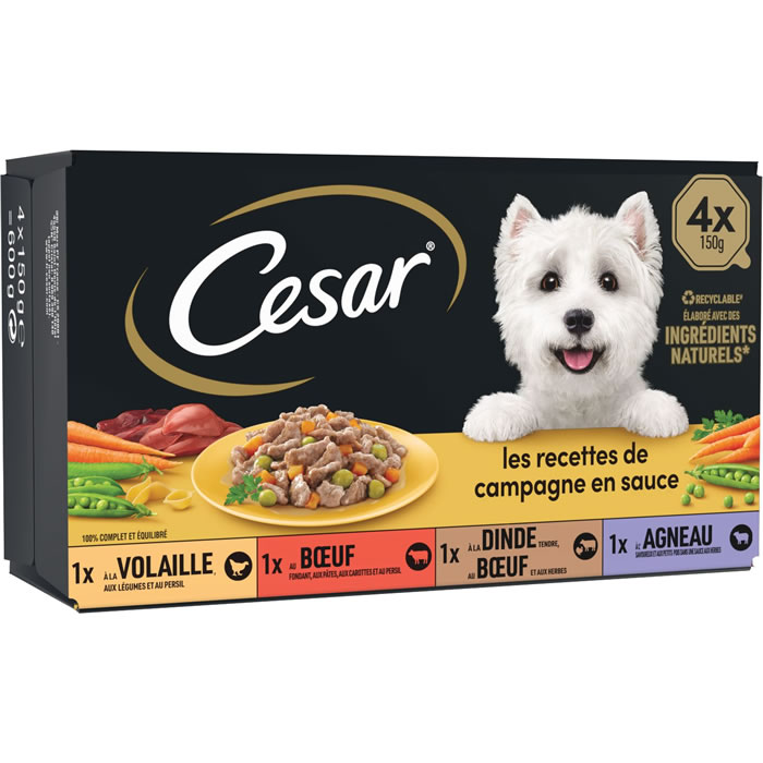 CESAR Mini filets en sauce pour chien