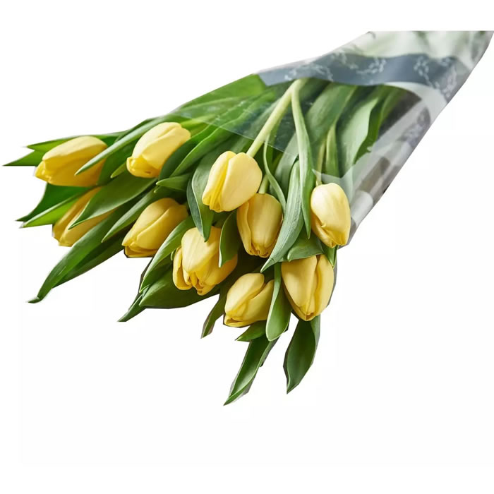 FLEUR Bouquet de tulipes jaunes
