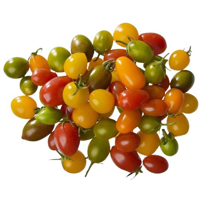 TOMATE Tomates cerises mélangées bio