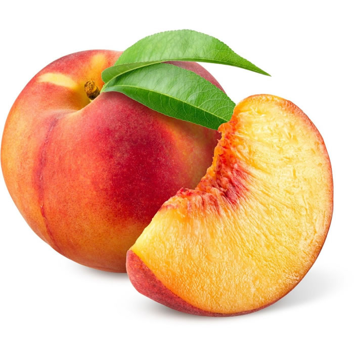 PÊCHE Pêche bio