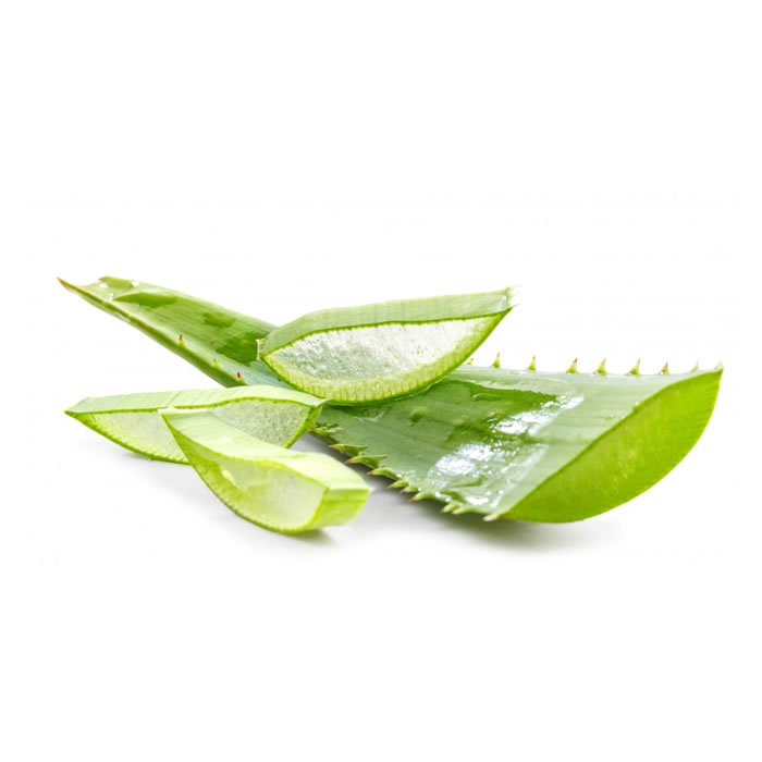 little agave Agave – Little Bee Scents™ main image 1