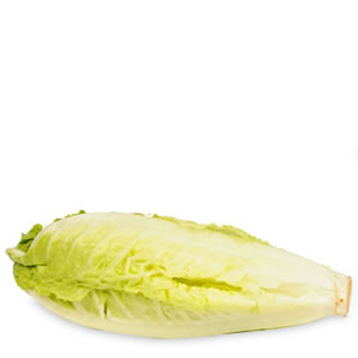 SALADE Salade coeur de Romaine bio cat 1