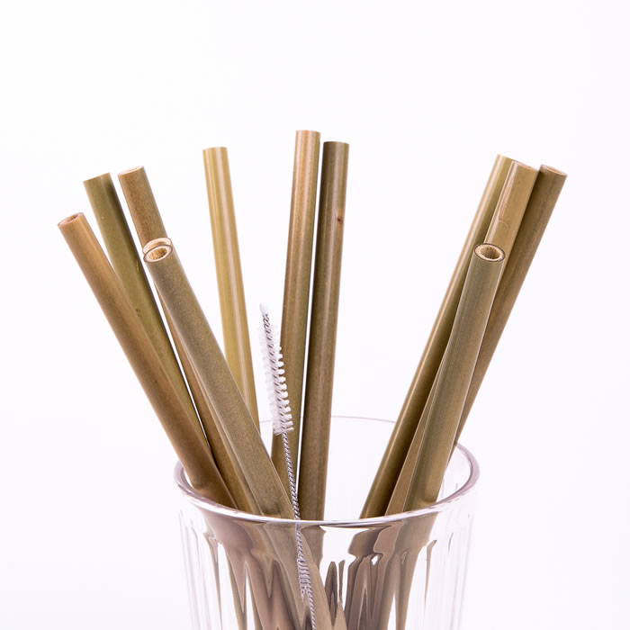 ART DE LA TABLE Lot de 12 pailles en bambou réutilisables avec goupillon