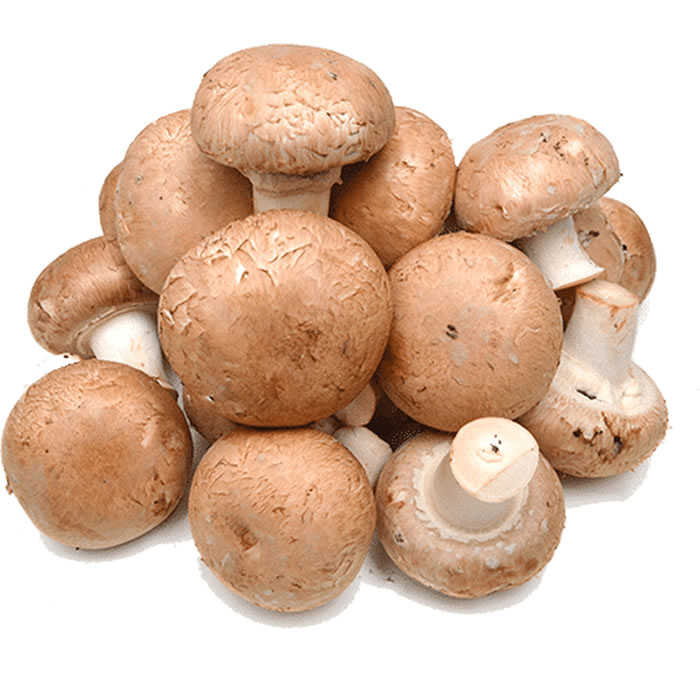 CHAMPIGNON Champignons bruns