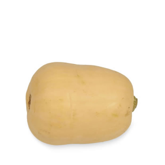 COURGES Courge butternut bio